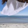 FOUTA Nid d'abeille unie blanche 72